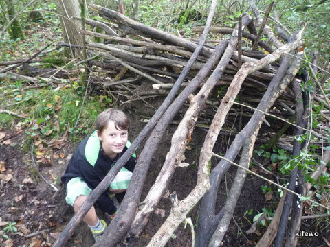 wald-survival-004
