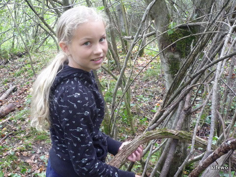 wald-survival-005