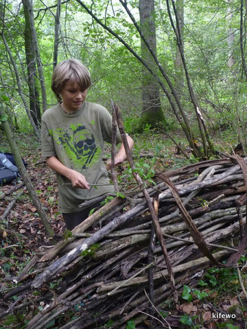 wald-survival-003