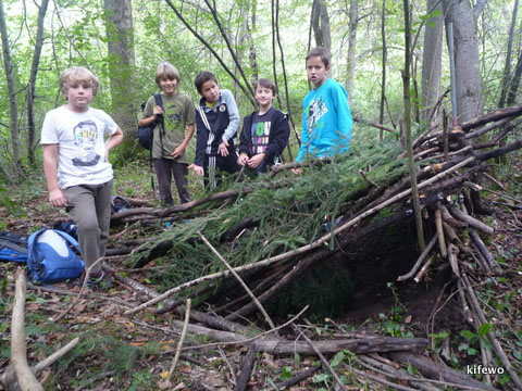 wald-survival-009