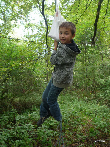 wald-survival-014