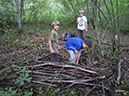 wald-survival-002