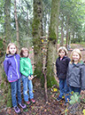 wald-maedchen-002