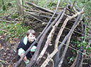 wald-survival-004