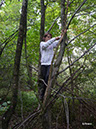wald-survival-006