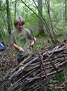 wald-survival-003