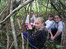 wald-survival-008