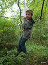 wald-survival-014